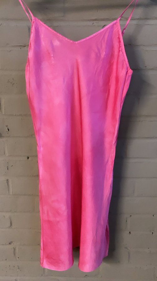 NWT FP shops RIVERSIDE Tool and Dye Rose Sheer Overlay and Slip Dress